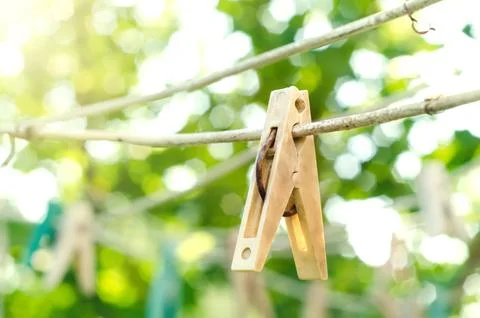 Old clothespin Stock Photos