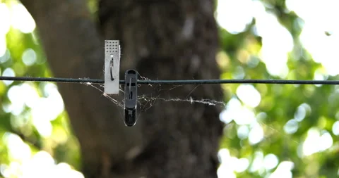Old clothespins in a spider web on a metal wire on a sunny summer day against Video stock 259343579