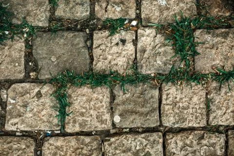Old cobbles pattern, cobblestone texture, close up view, stone background 스톡 사진