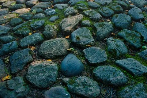 Old Cobblestone Path with Moss and Autumn Leaves 스톡 사진