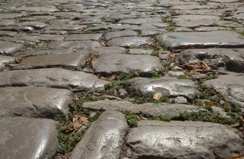 Old cobblestone path Stock Photos