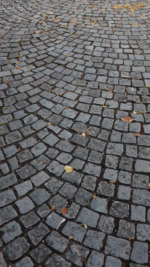 Old cobblestone pavement with curved stone patterns and scattered autumn leaves Stock Footage 344054618