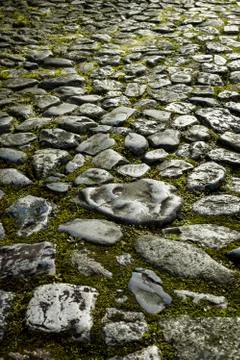 Old cobblestone pavement Stock Photos