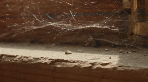 Old cobweb. Macro shot. Stock Footage 50883213
