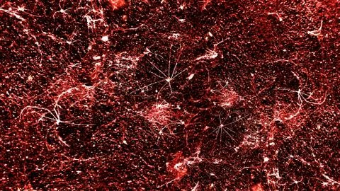 Old cobwebs texture Stock Photos