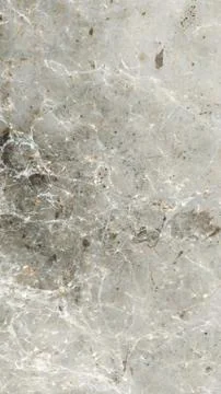 Old cobwebs texture Stock Photos