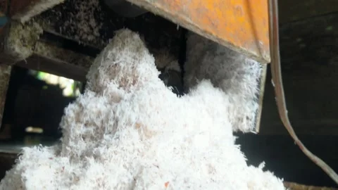 Old coconut grinding machine to make coconut milk Stock Footage 306269748