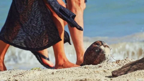 Old coconut in the sand in front on the waves Stock Footage 102133481