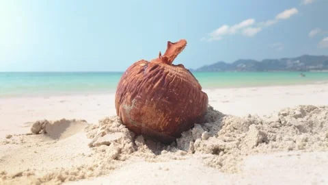Old Coconut Shell Lying On Sand In Chaweng Beach In Koh Samui, Thailand Stock Footage 337441371