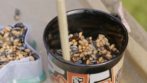 Old coffee cup being filled with a seed and coconut fat mixture Stock Footage 86007619