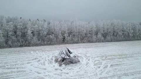 Old collapsed barn on snowy field Stock Footage 297361458
