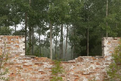 An old, collapsed building of Soviet army base in Latvie, Europe. Stock Photos