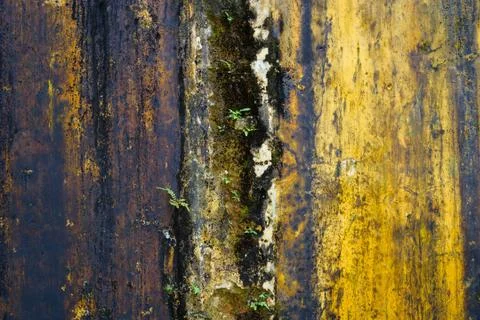Old color wall Stock Photos
