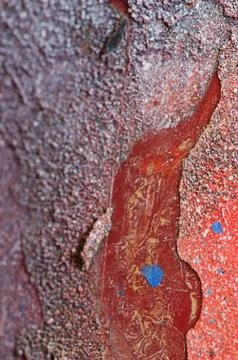 Old colored background pattern texture of iron and plastic. Fotos de archivo