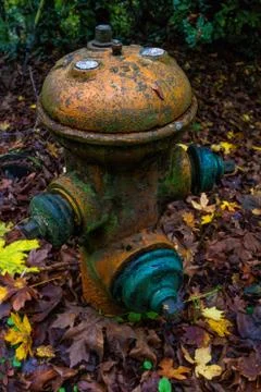 Old Colorful Fire Hydrant in Fall Leaves Foto stock