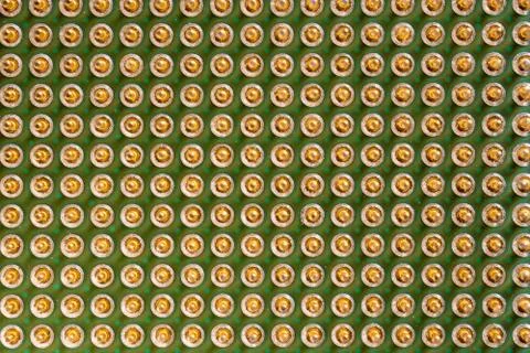 Old computer processor with gold-plated legs, on a green board, top view Stock Photos