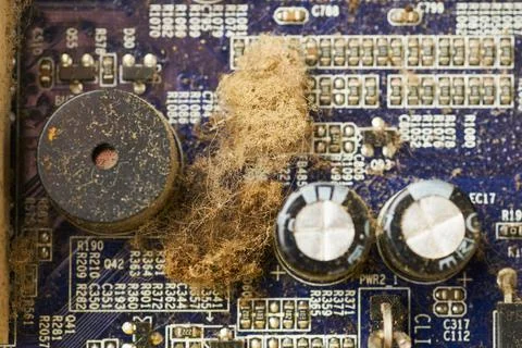 Old computer system unit with spiderweb and dust inside. Stock Photos