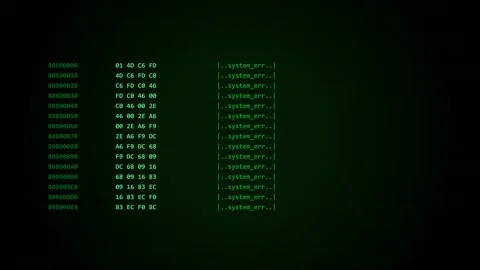 Old computer terminal. Retro green monochrome computer screen displaying Stock Footage 342205613