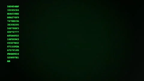 Old computer terminal. Vintage green text terminal with hex code on screen Stock Footage 342204977
