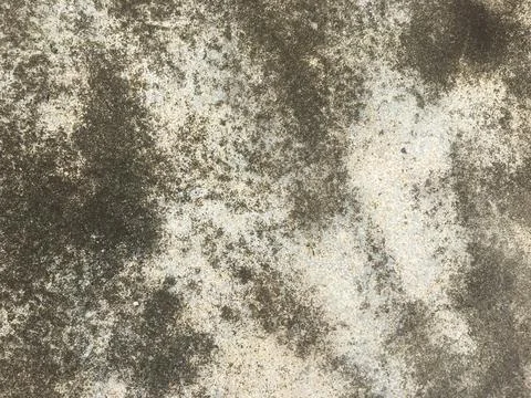 Old concrete abstract texture for background Foto stock