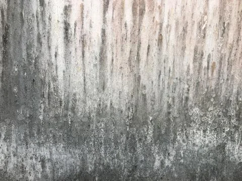 Old concrete abstract texture for background Foto stock
