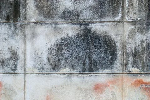 Old the concrete block wall Stock Photos