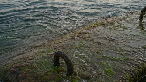 An old concrete breakwater covered with algae Stock Footage 243140615
