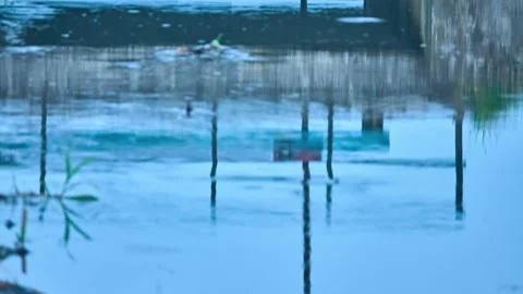 The old concrete bridge is reflected in the water in the evening. Stock Footage 157323381
