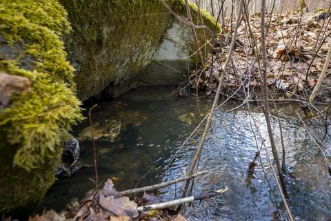 An old concrete drain of a forest stream Stock Photos