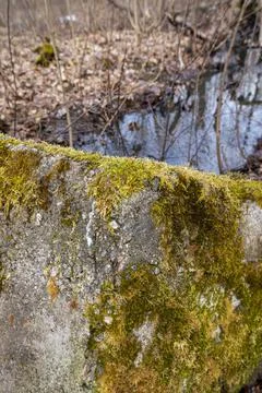 An old concrete drain of a forest stream Stock Photos