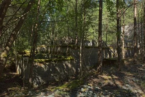 Old concrete foundations. Stock Photos