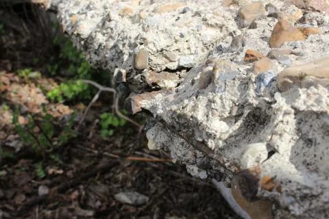 Old concrete slab Foto stock