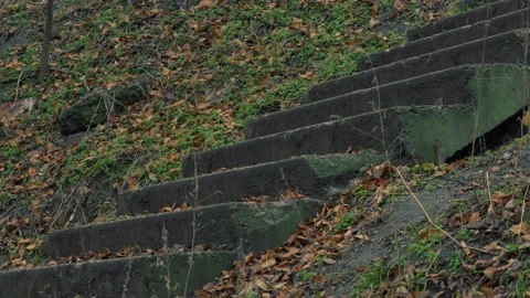 Old concrete steps in forest Stock Footage 147594738