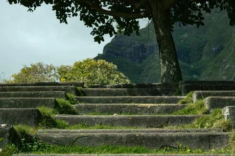 Old concrete steps leading to a tree overlooking the mountains Stock Photos