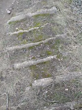 Old concrete steps sunken into the ground Stock Photos