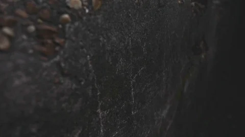 Old concrete structure in forest Stock Footage 90354821