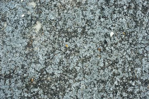 Old concrete texture background Stock Photos