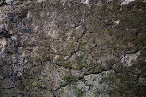 Old concrete texture Stock Photos