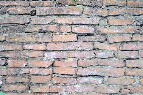 Old Concrete Wall Background. Stock Photos