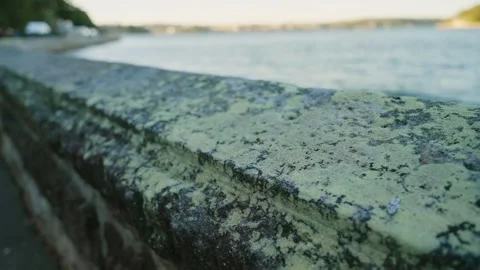 Old concrete wall or stone material with fungus and moss mold green spots Stock Footage 287302602
