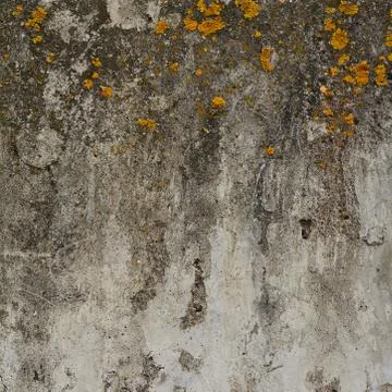 Old concrete wall Stock Photos