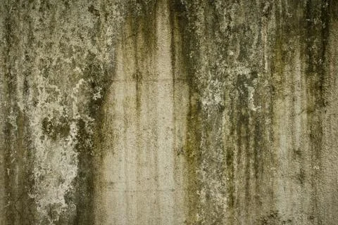 Old concrete wall Foto stock