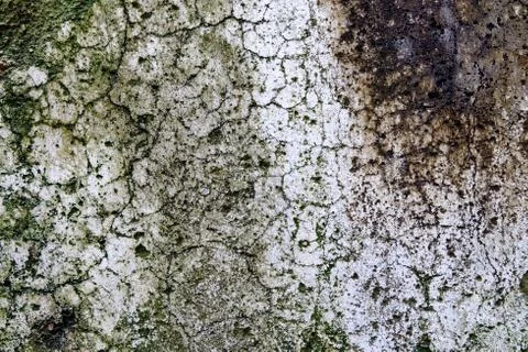 Old Concrete Wall Texture Background. Stock Photos