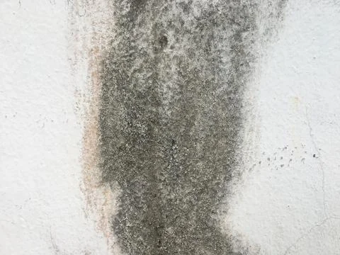 Old concrete wall texture for background with copy space for work Foto stock