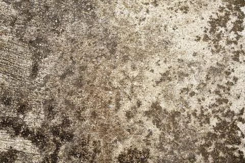 Old concrete wall texture with mold background Stock Photos