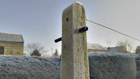 An old concrete washing line post, in front of a suburban garden hedge. Stock Footage 299982018