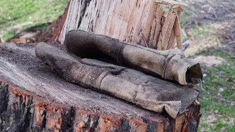 Old construction gloves on the stump Stock Footage 103350008