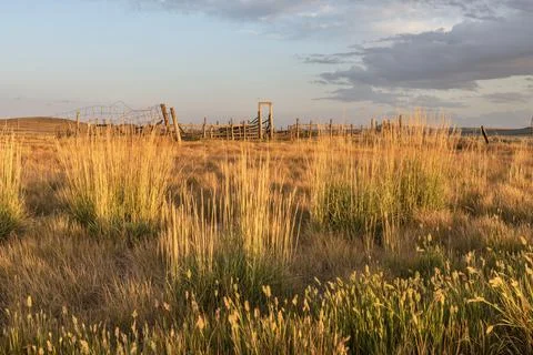 Old Corral in the Evening Light Stock Photos