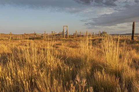 Old Corral in the Evening Light Stock Photos