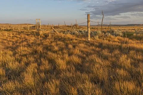 Old Corral in the Evening Light Stock Photos